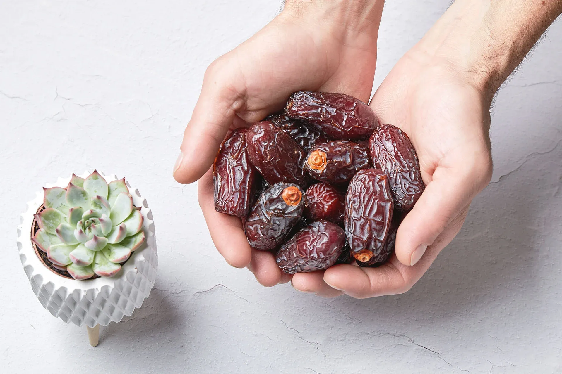 Seseorang memegang beberapa buah Kurma Medjool di telapak tangannya