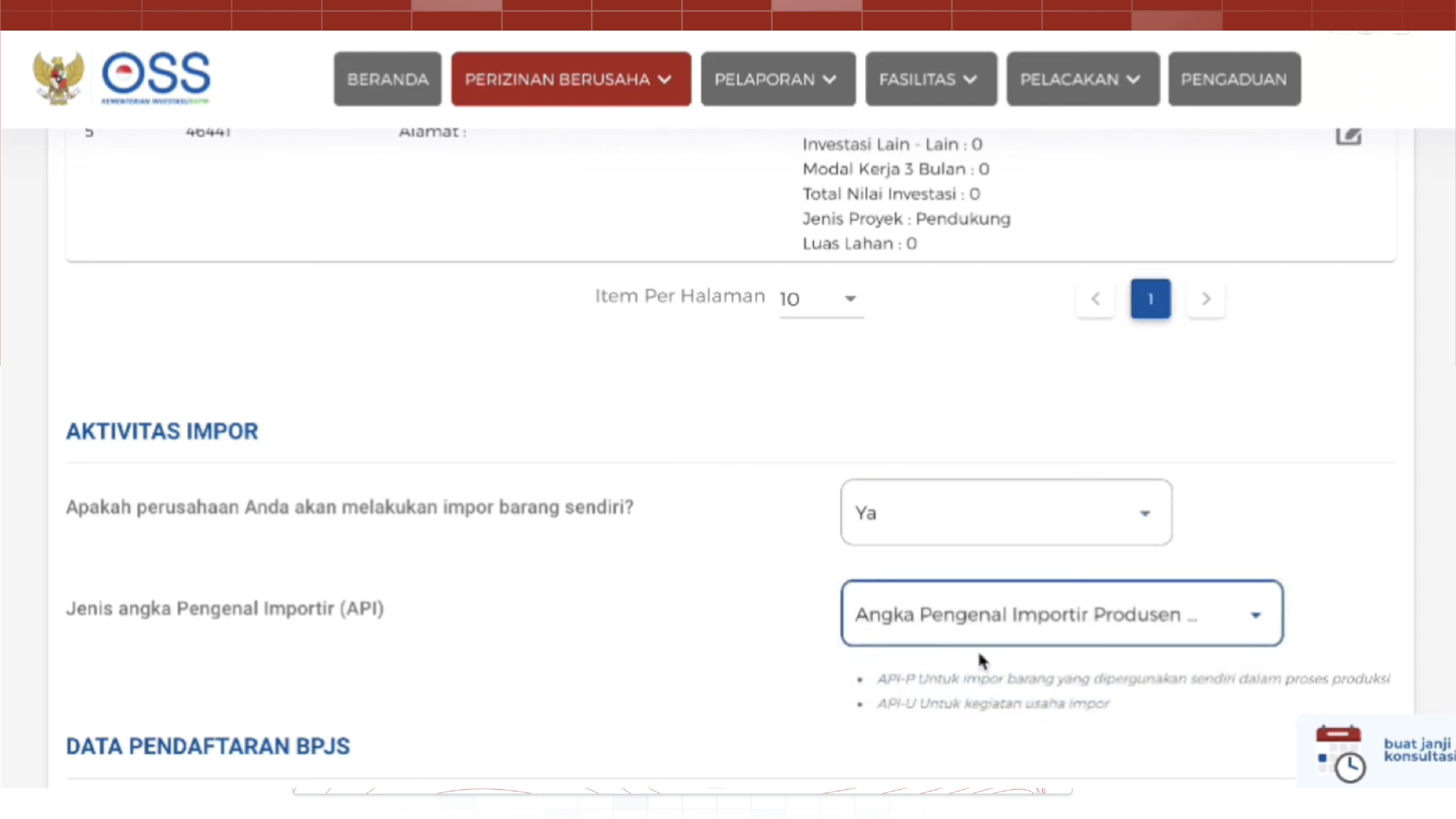 Form pengisian aktivitas impor pada sistem OSS untuk pengajuan Angka Pengenal Importir (API).