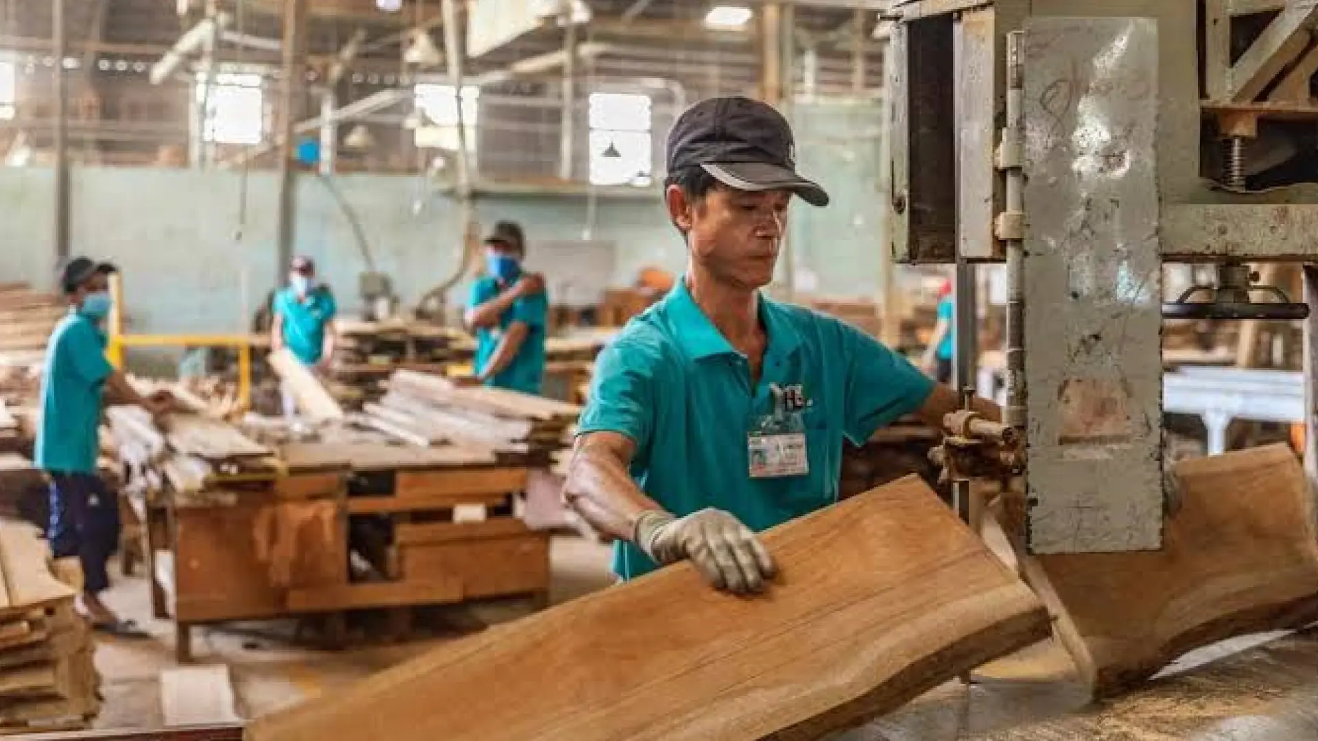 Pekerja mengolah papan kayu menggunakan mesin pemotong di fasilitas produksi furnitur.
