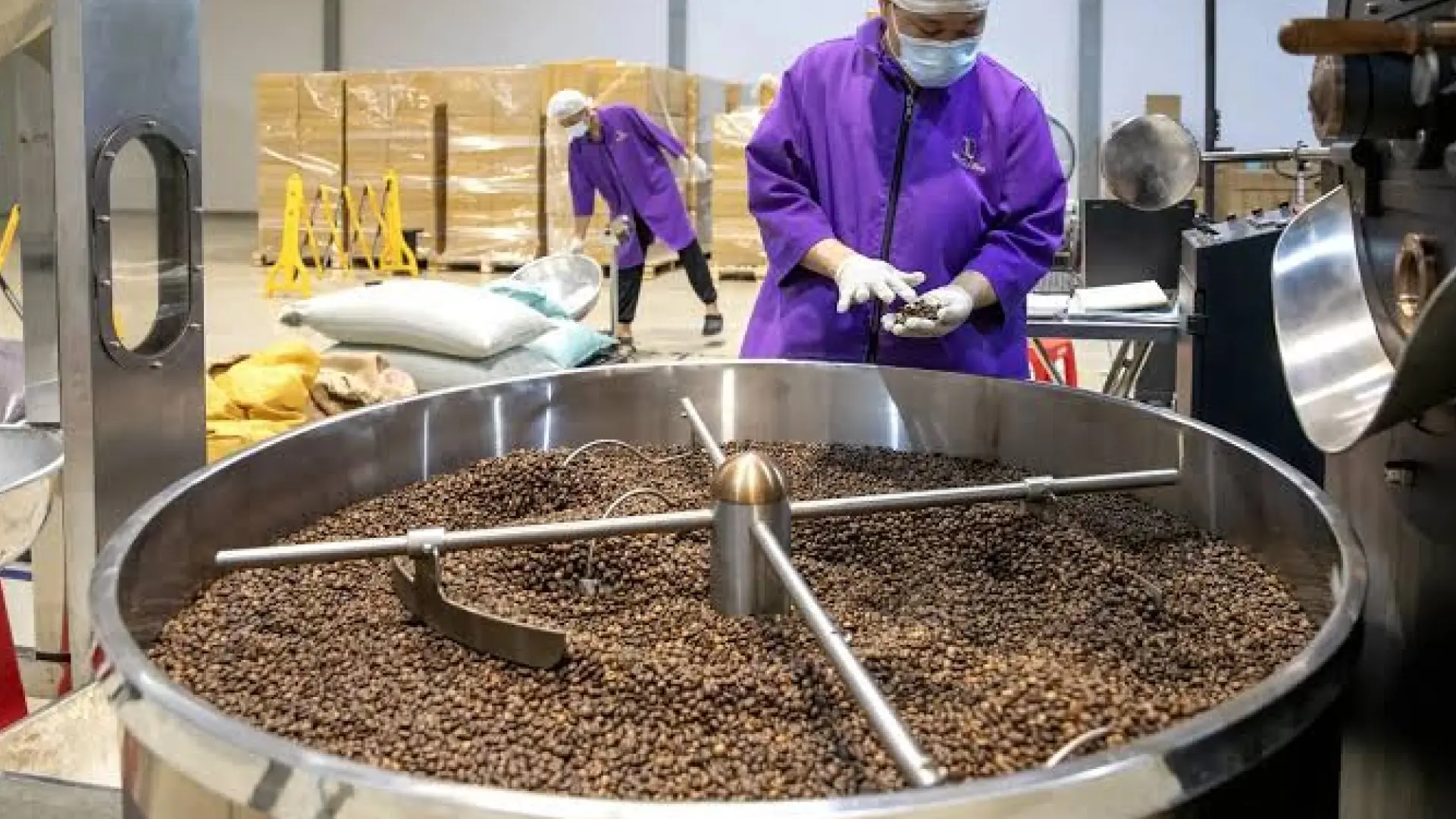 Proses pengolahan biji kopi menggunakan mesin roasting berukuran besar di pabrik kopi.