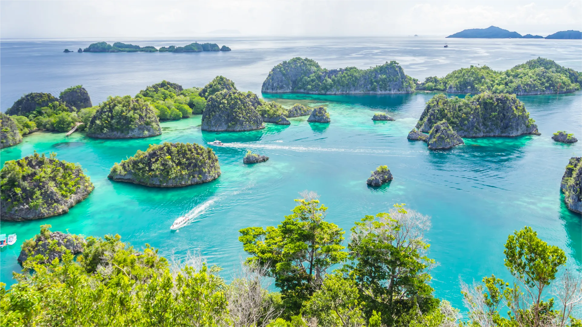 Raja Ampat 的绿色喀斯特小岛群,被清澈的蓝绿色海水环绕,展现出当地独特的海岛风光。
