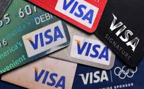 Apa itu visa