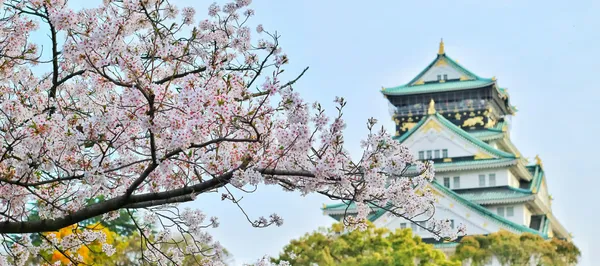Jenis visa Jepang
